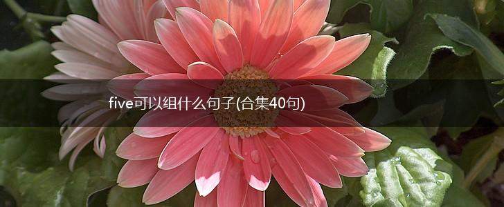 five可以组什么句子(合集40句),第1张