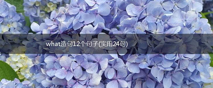 what造句12个句子(实用24句),第1张