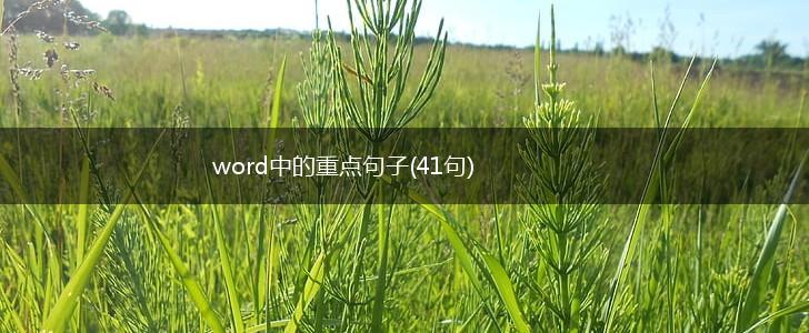 word中的重点句子(41句),第1张