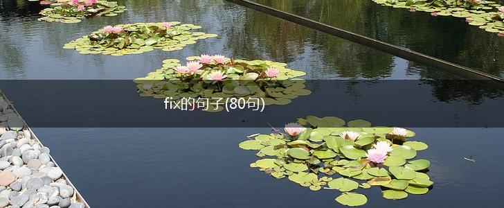 fix的句子(80句),第1张