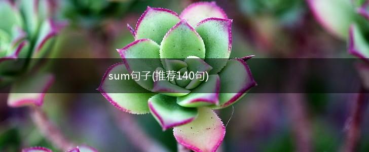 sum句子(推荐140句),第1张