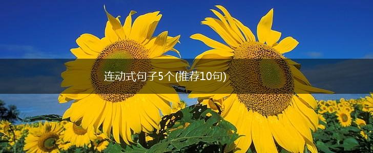 连动式句子5个(推荐10句),第1张