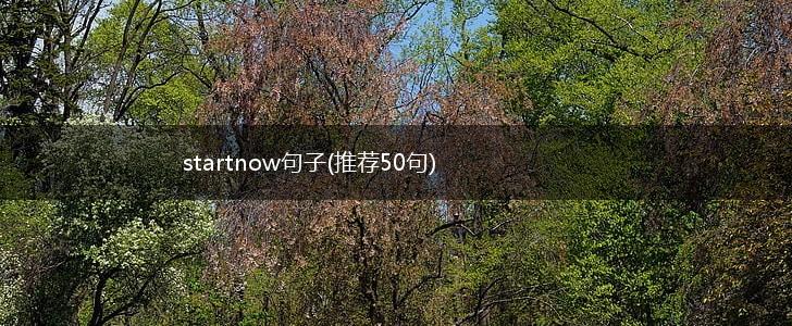 startnow句子(推荐50句),第1张