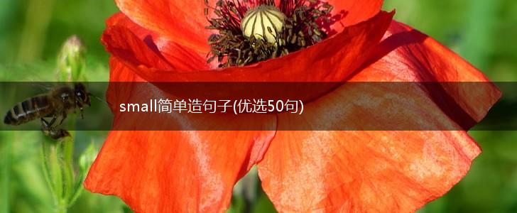 small简单造句子(优选50句),第1张