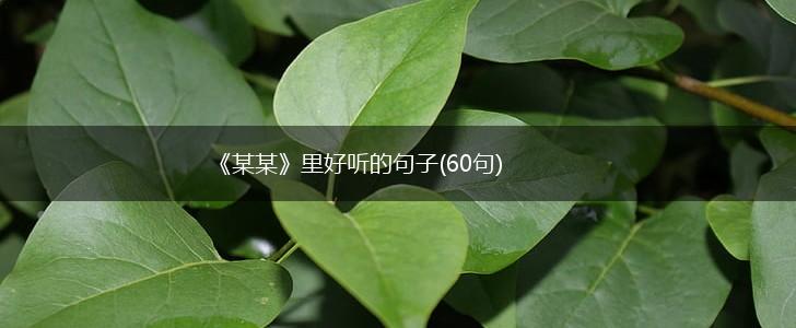 《某某》里好听的句子(60句),第1张