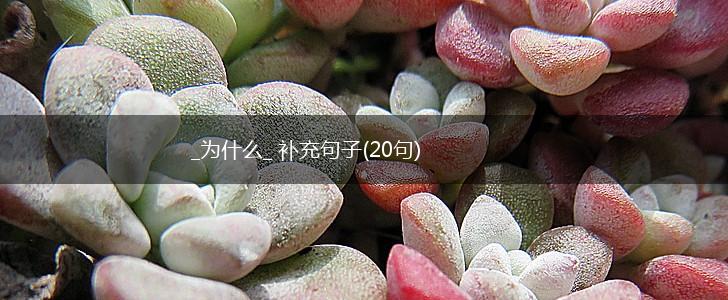 _为什么_ 补充句子(20句),第1张