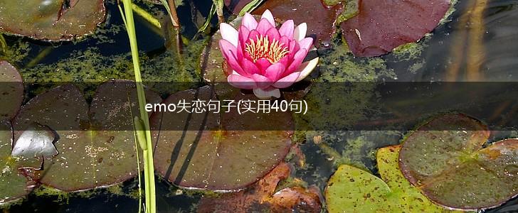 emo失恋句子(实用40句),第1张
