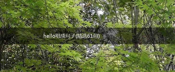 hello组成句子(精选61句),第1张