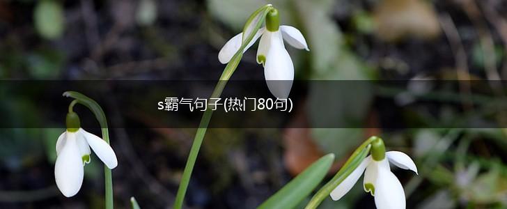 s霸气句子(热门80句),第1张