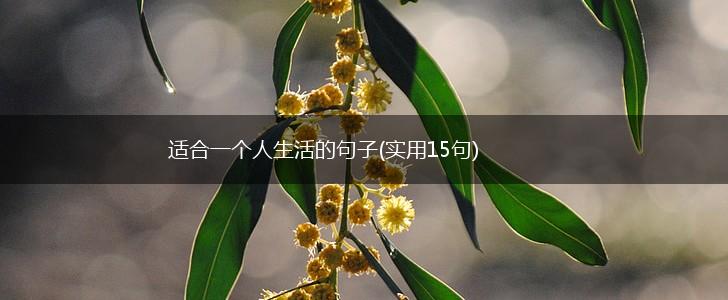 适合一个人生活的句子(实用15句),第1张