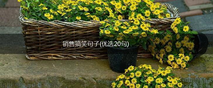 销售搞笑句子(优选20句),第1张