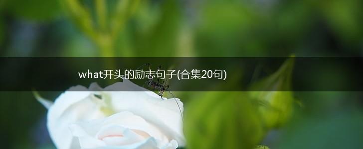 what开头的励志句子(合集20句),第1张