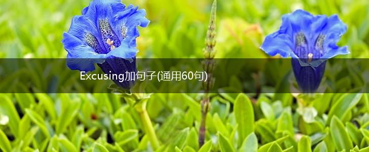 Excusing加句子(通用60句),第1张