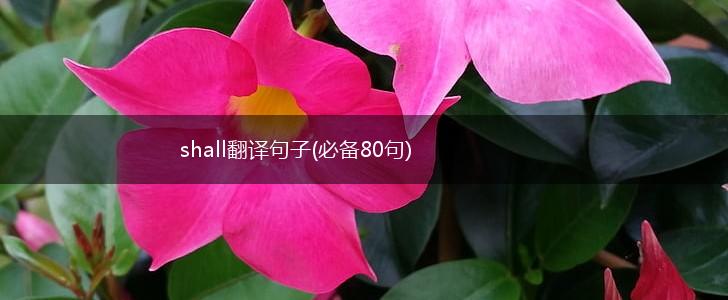 shall翻译句子(必备80句),第1张