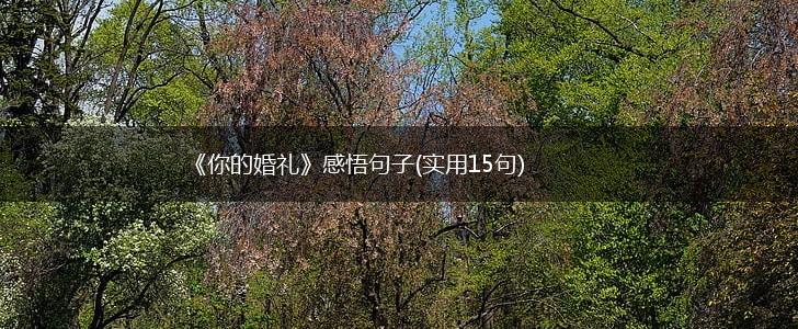 《你的婚礼》感悟句子(实用15句),第1张