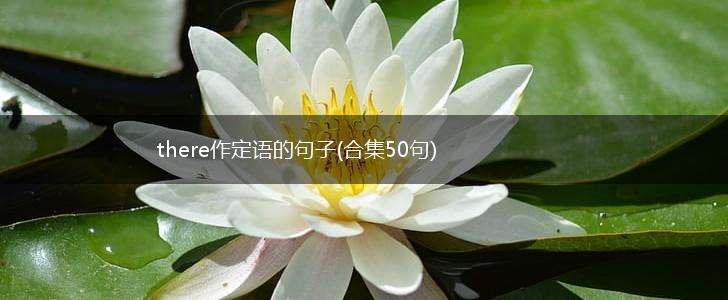 there作定语的句子(合集50句),第1张