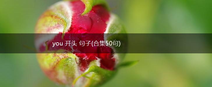 you 开头 句子(合集50句),第1张