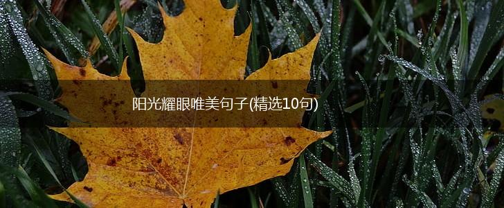 阳光耀眼唯美句子(精选10句),第1张