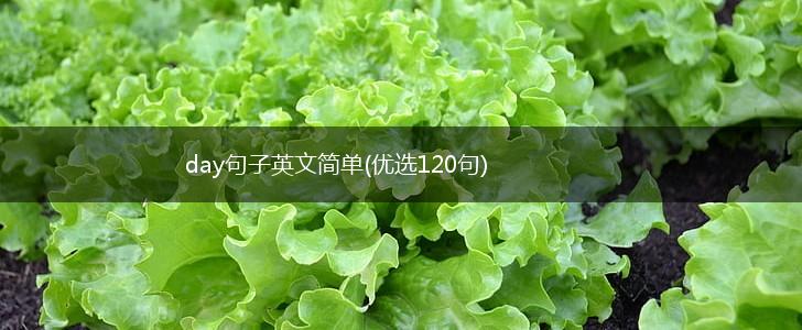 day句子英文简单(优选120句),第1张
