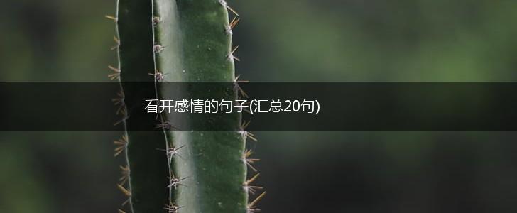 看开感情的句子(汇总20句),第1张