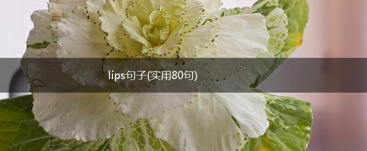 lips句子(实用80句),第1张