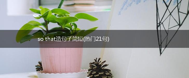 so that造句子简短(热门21句),第1张