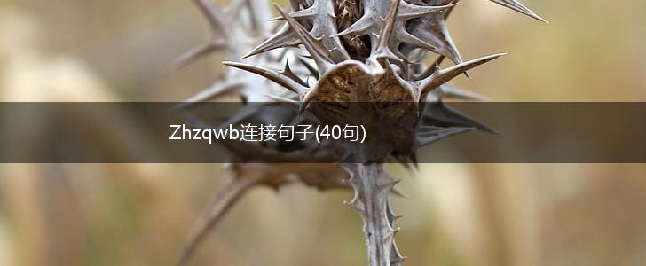 Zhzqwb连接句子(40句),第1张