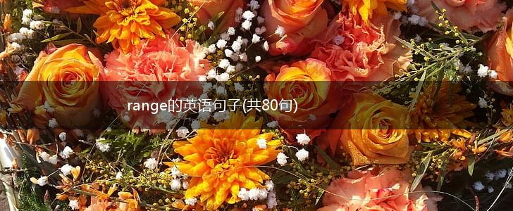 range的英语句子(共80句),第1张