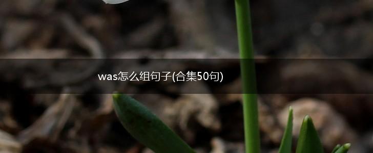 was怎么组句子(合集50句),第1张