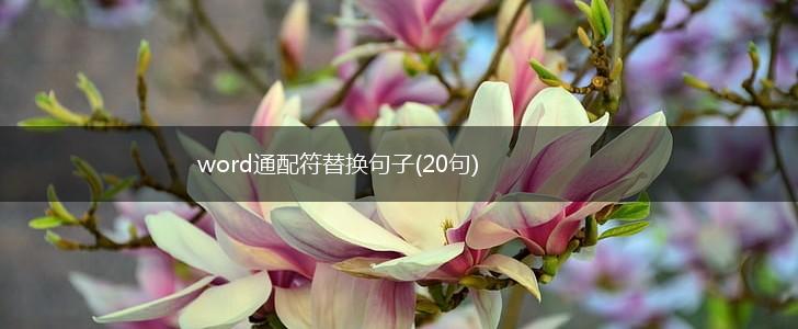 word通配符替换句子(20句),第1张