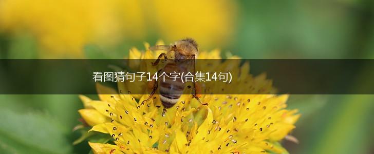 看图猜句子14个字(合集14句),第1张