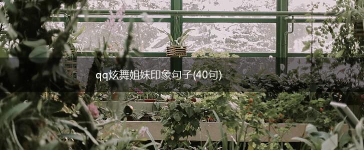 qq炫舞姐妹印象句子(40句),第1张