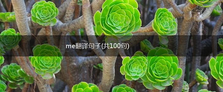 me翻译句子(共100句),第1张