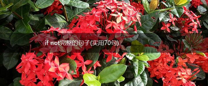 if not完整的句子(实用70句),第1张