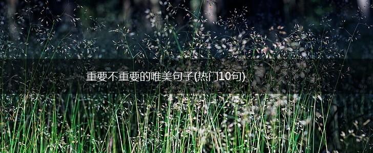 重要不重要的唯美句子(热门10句),第1张
