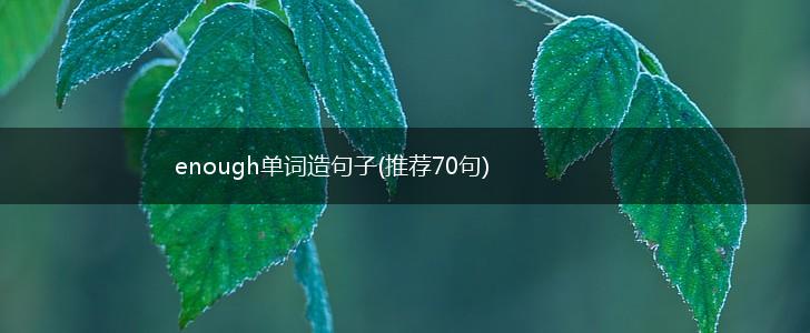 enough单词造句子(推荐70句),第1张