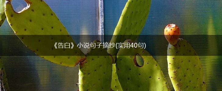 《告白》小说句子摘抄(实用40句),第1张
