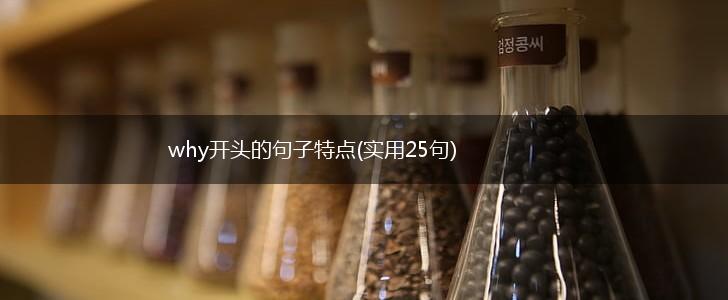 why开头的句子特点(实用25句),第1张