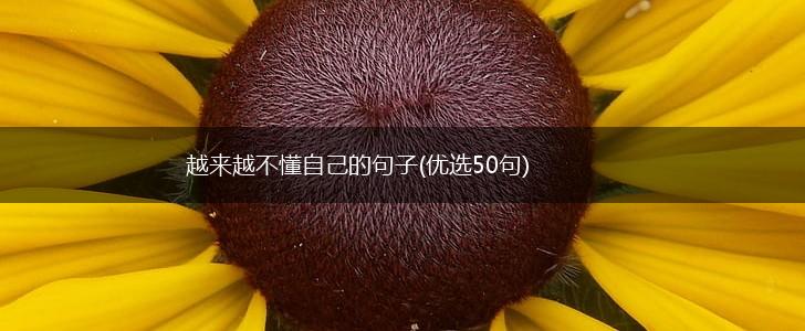 越来越不懂自己的句子(优选50句),第1张