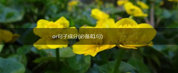 or句子成分(必备81句),第1张