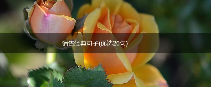 销售经典句子(优选20句),第1张