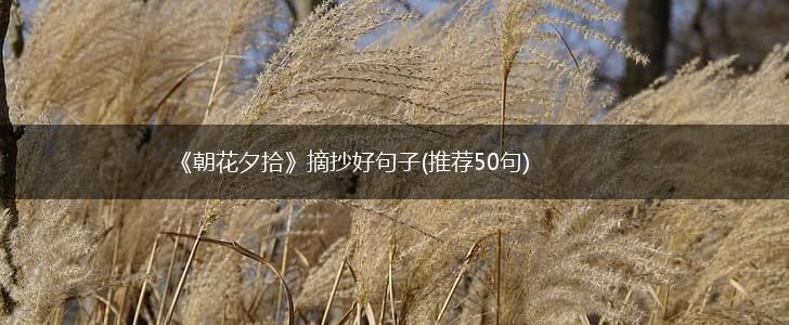 《朝花夕拾》摘抄好句子(推荐50句),第1张
