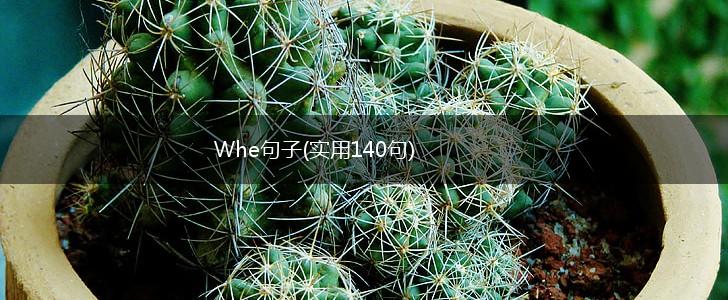 Whe句子(实用140句),第1张