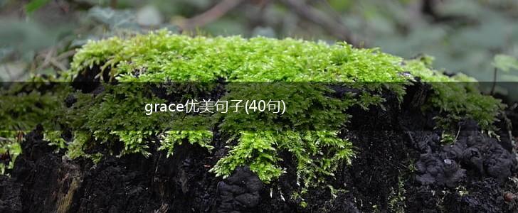 grace优美句子(40句),第1张