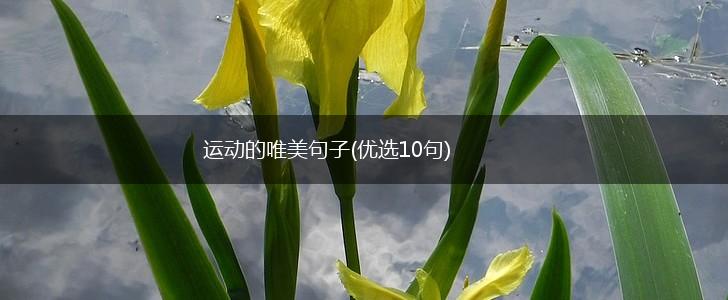 运动的唯美句子(优选10句),第1张