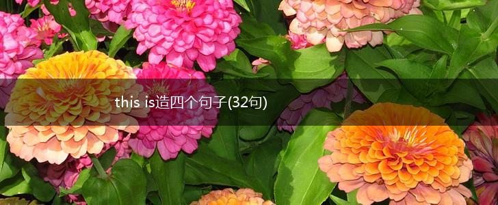 this is造四个句子(32句),第1张