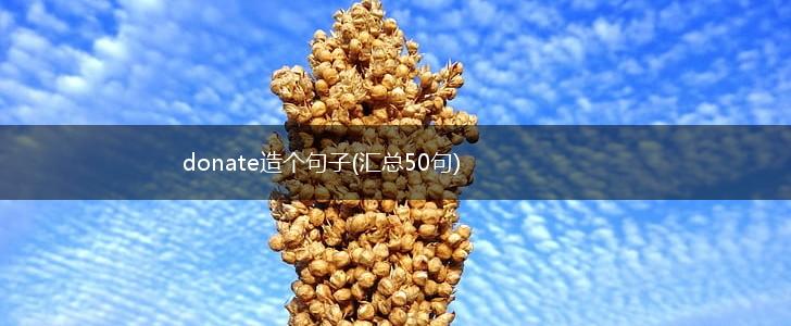 donate造个句子(汇总50句),第1张