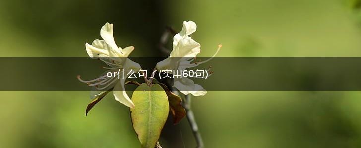or什么句子(实用60句),第1张