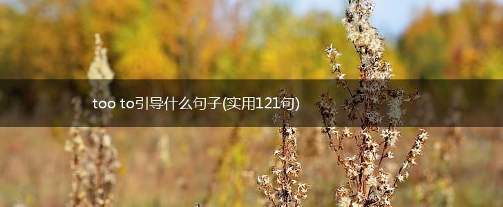 too to引导什么句子(实用121句),第1张