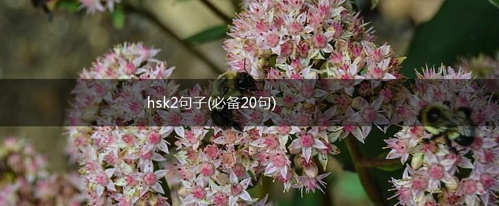hsk2句子(必备20句),第1张